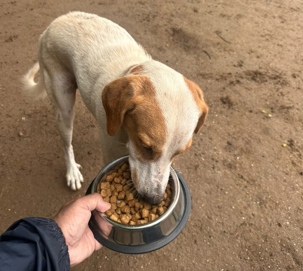 whatsapp image 2025 07 09 at 14.06.28 4bf410c4