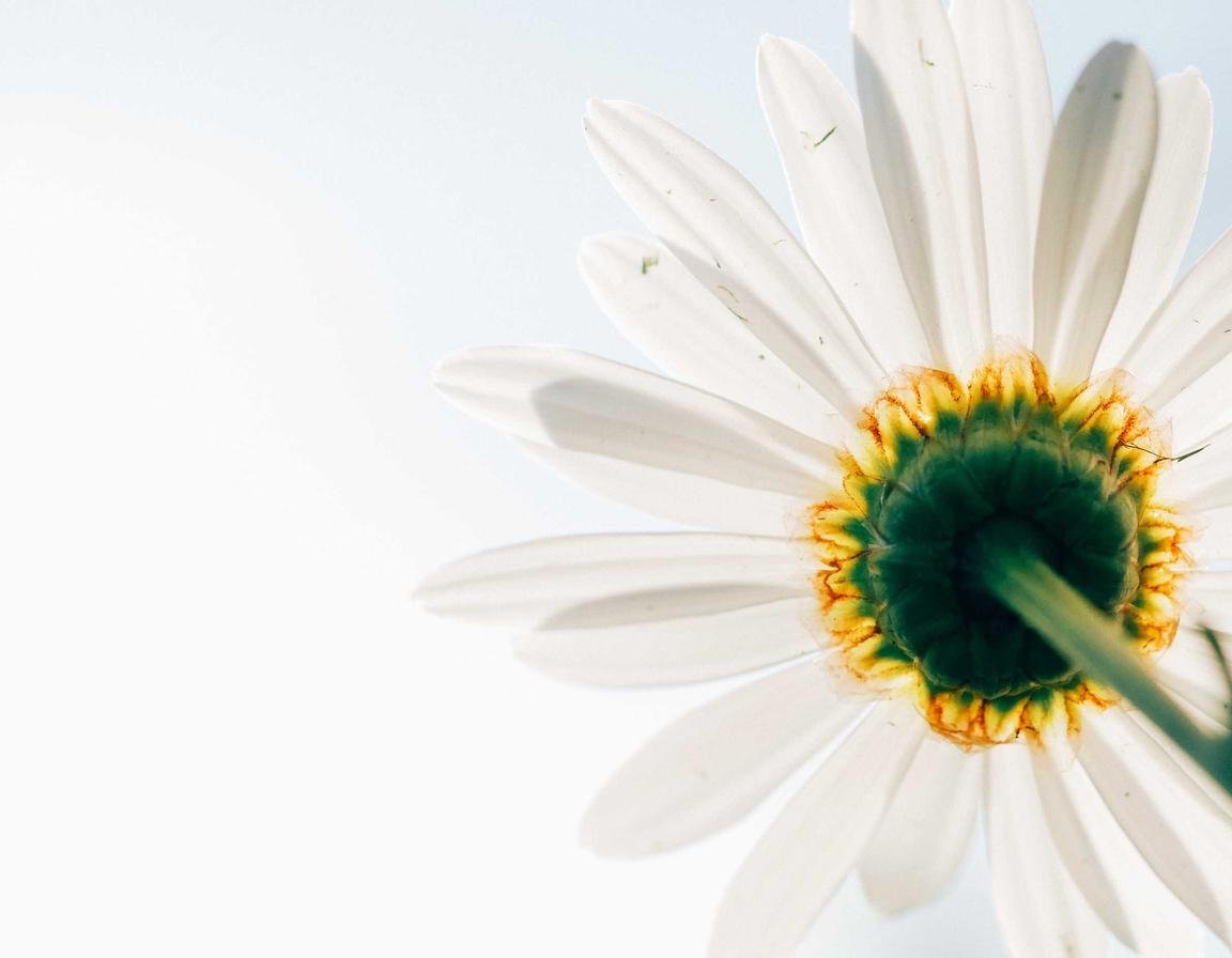 Benefits of Zero-Downtime Replication